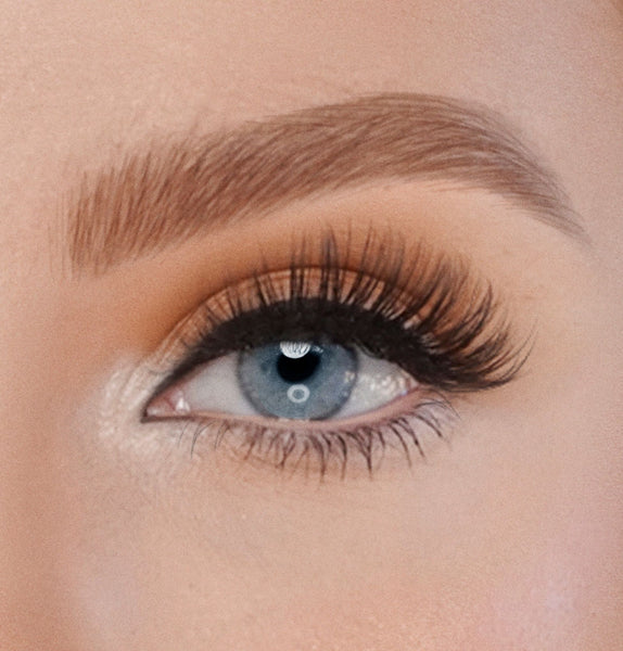 UNIVERSAL LASH – FOCUS