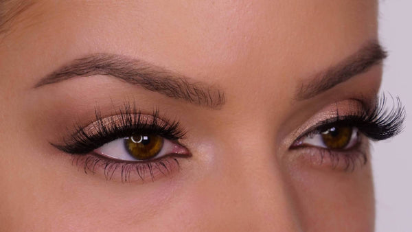 Eldora M116 Multi-Layered False Lashes ripset