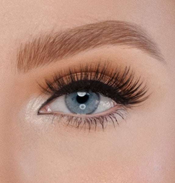 UNIVERSAL LASH – SIGNS