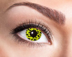 z-660 Yellow Leopard (12kk) piilolinssit