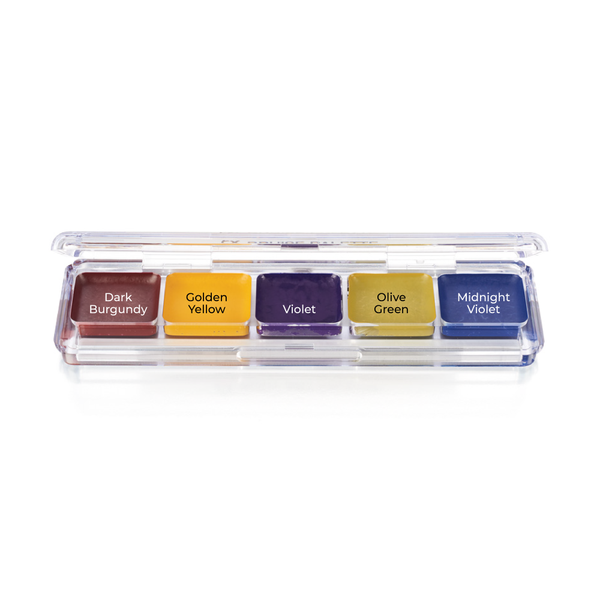 Ben Nye Bruise Alcohol FX Palette alkoholiväripaletti (AAP-03) - Backstage Beauty Finland