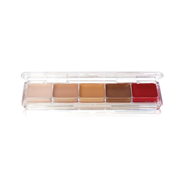 Ben Nye Tattoo Cover Alcohol Palette (AAP-21)